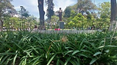 Ratas invaden el Parque Zaragoza en Toluca y representan un riesgo para la comunidad escolar