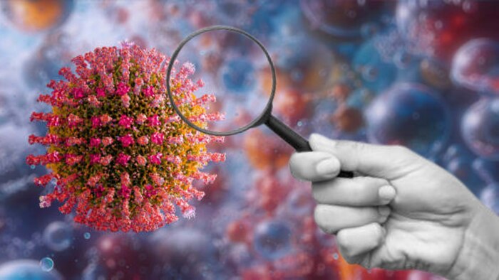 Reaparece el sarampión en México: un nuevo reto para la salud pública tras la pandemia de COVID-19