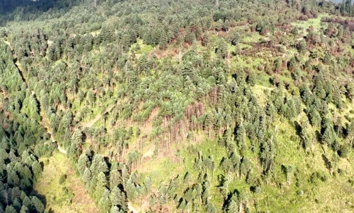 Refuerzan operativo en Naucalpan para proteger el Bosque Otomí Mexica contra actividades ilegales