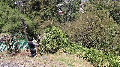 Refuerzan seguridad en El Calvario tras reportes de sacrificios de gatos en rituales de brujería