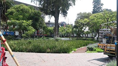 Rehabilitación del Jardín Zaragoza logra eliminar plaga de roedores, pero persiste riesgo en zonas cercanas