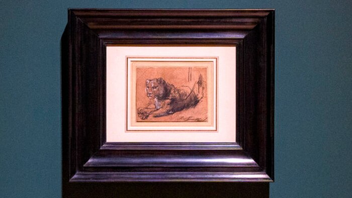 Rembrandt vende dibujo de león por 17.8 millones de dólares para financiar conservación de felinos