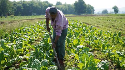 Repatriados mexicanos en EU encuentran nuevas oportunidades laborales en el Estado de México