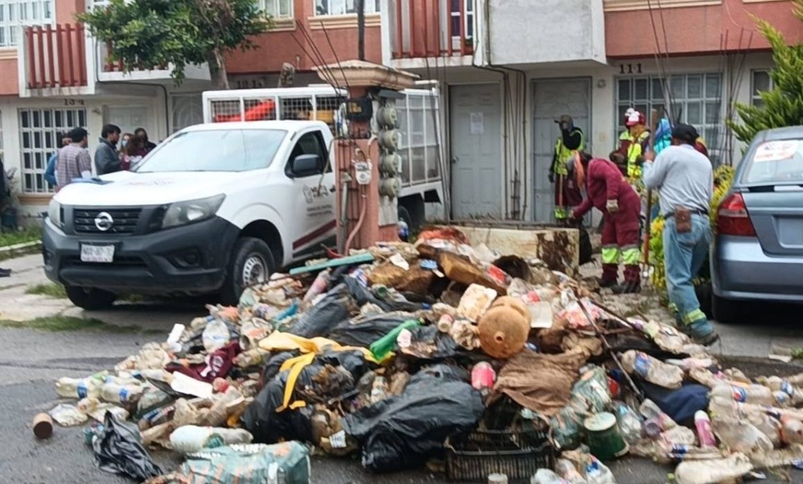 Rescatan a 90 gatos en situación de maltrato y limpian vivienda con acumulación de basura en Tecámac