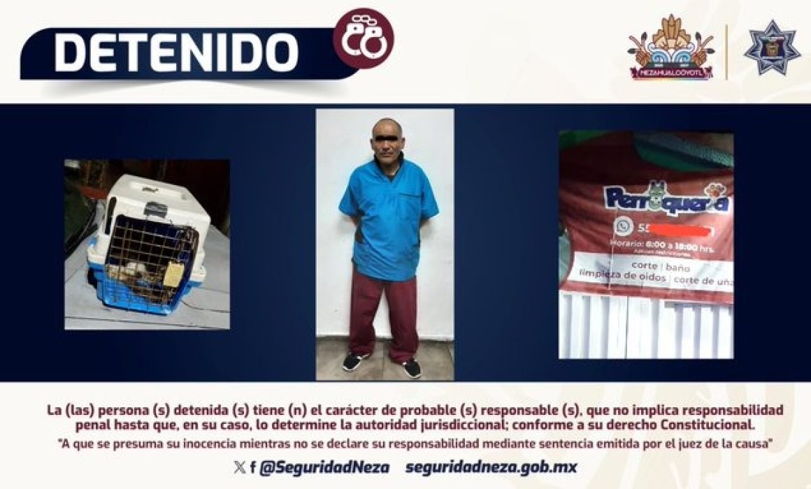 Rescatan a gatito y detienen a supuesto veterinario en Nezahualcóyotl por maltrato y usurpación de profesión