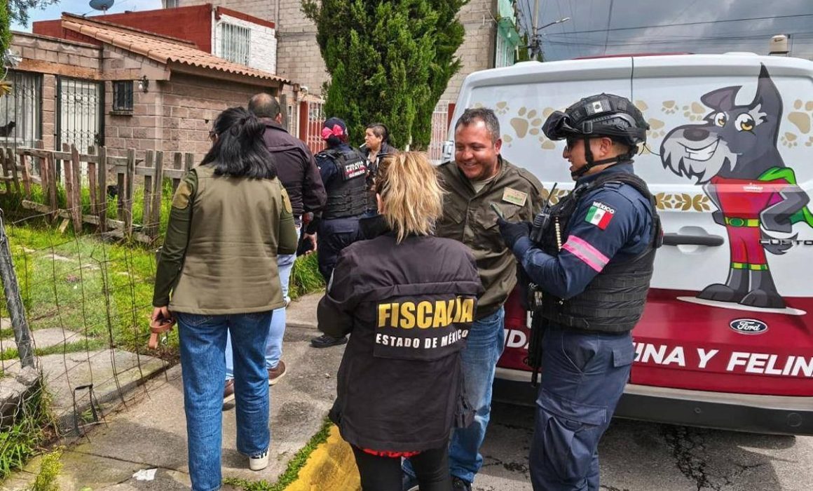 Rescatan a tres perros en situación de abandono en Almoloya de Juárez tras denuncia vecinal