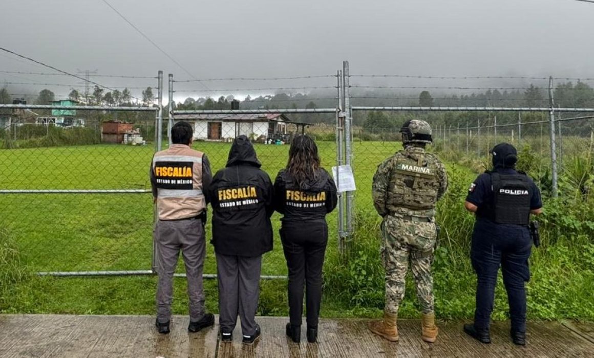 Rescatan a tres perros maltratados en Valle de Bravo tras denuncia ciudadana