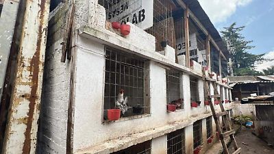 Rescatan en Atizapán de Zaragoza aves maltratadas y decomisan marihuana en operativo conjunto