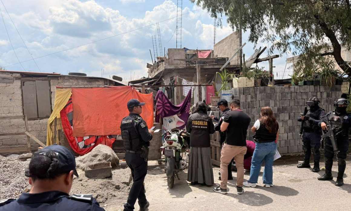 Rescatan en Toluca a ocho perros maltratados en operativo conjunto