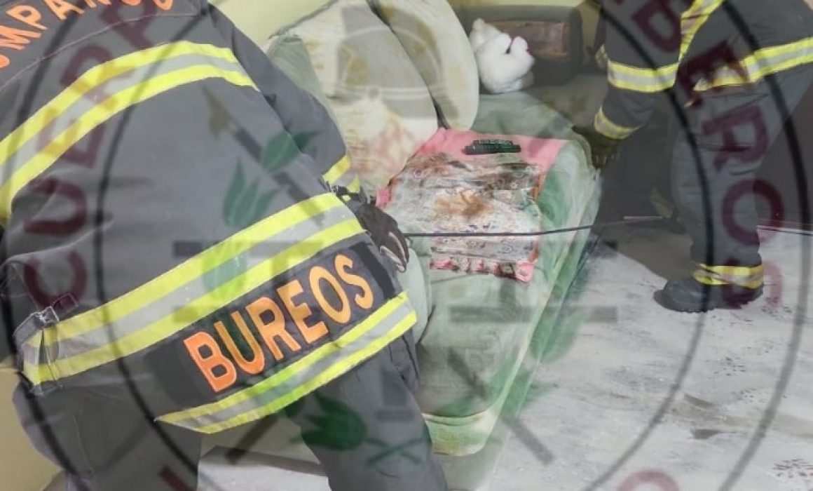 Rescatan reptil oculto en sillón de vivienda en Zumpango