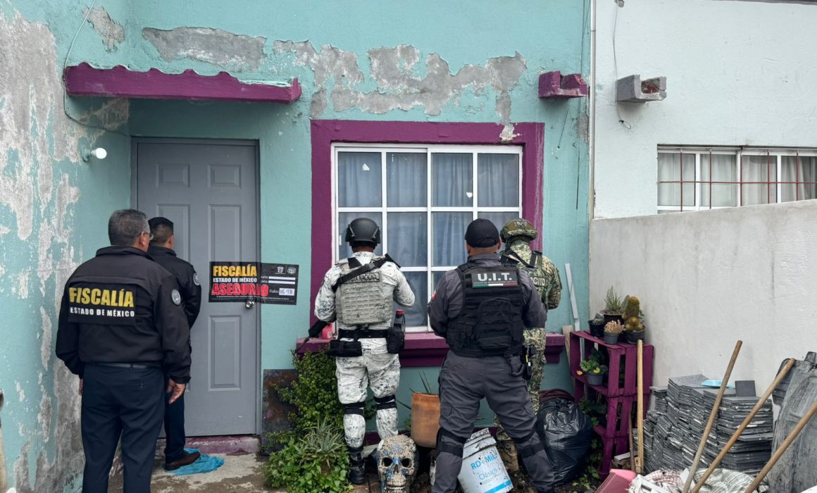 Rescatan siete gatos y un perro víctimas de maltrato en Tecámac