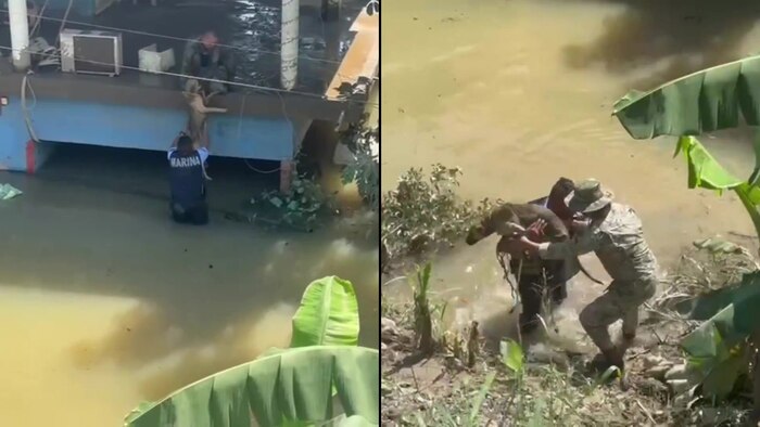 Rescate de perros atrapados en inundaciones evidencia labor de la Marina en México
