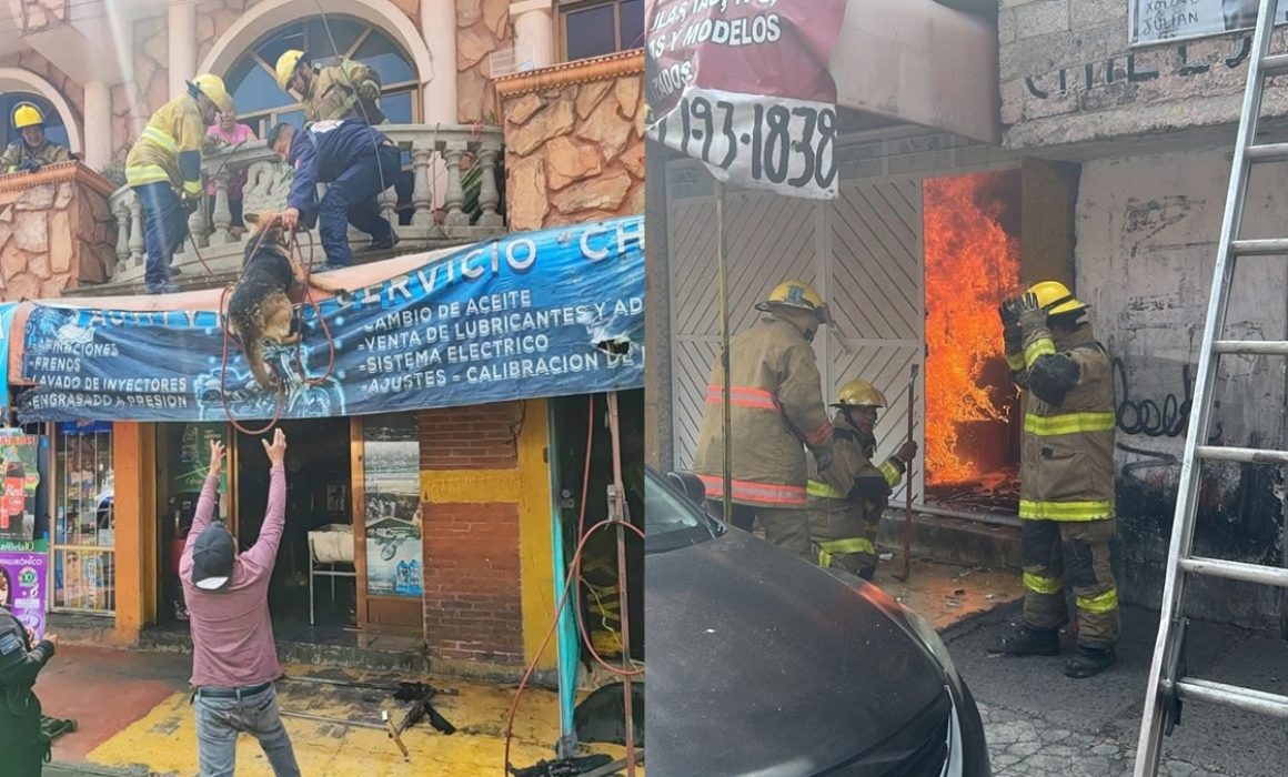 Rescate emotivo en incendio en Los Reyes La Paz: salvaron a un perro atrapado