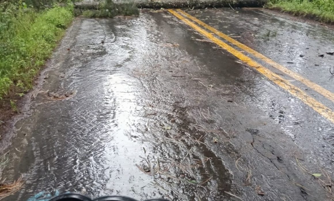 Rescate y cierre en la Toluca–Altamirano por fuertes deslaves e inundaciones