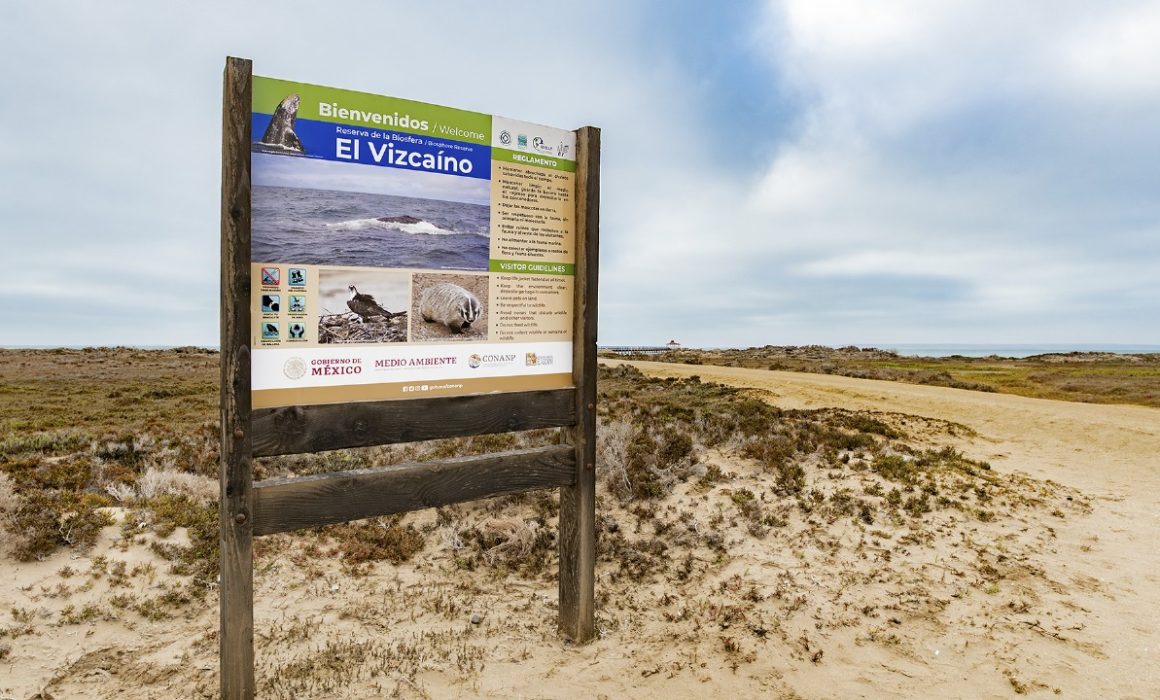 Reserva Natura: la plataforma sustentable que revoluciona el turismo en áreas naturales mexicanas