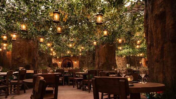 Restaurante temático en Zaragoza transporta a los comensales a un bosque de ‘El Señor de los Anillos’ con decoración y menú de fusión
