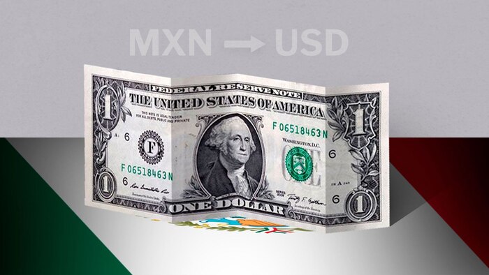 Resumen del tipo de cambio del dólar en México al 16 de octubre y tendencias para 2024-2025