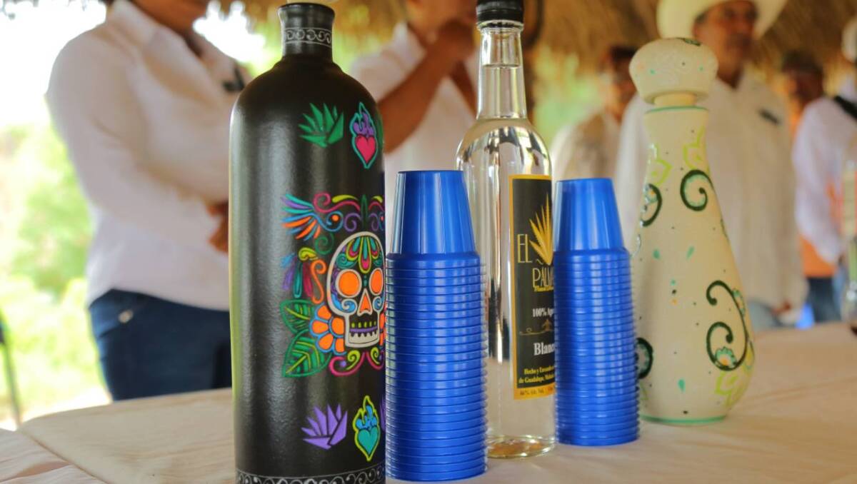 ¡Revelado! 15 municipios del Edomex ahora tienen Denominación de Origen del Mezcal