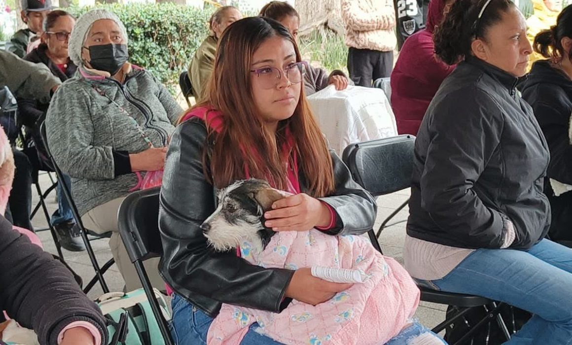¿Sabías que en Chalco se realizó una jornada de esterilización que cambió vidas? Descubre cómo miles de mascotas están mejorando su bienestar