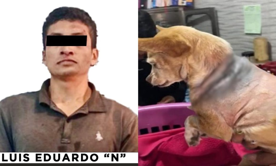 ¿Sabías que un hombre en Naucalpan enfrenta cargos por brutal maltrato animal? La impactante evidencia que cambió todo