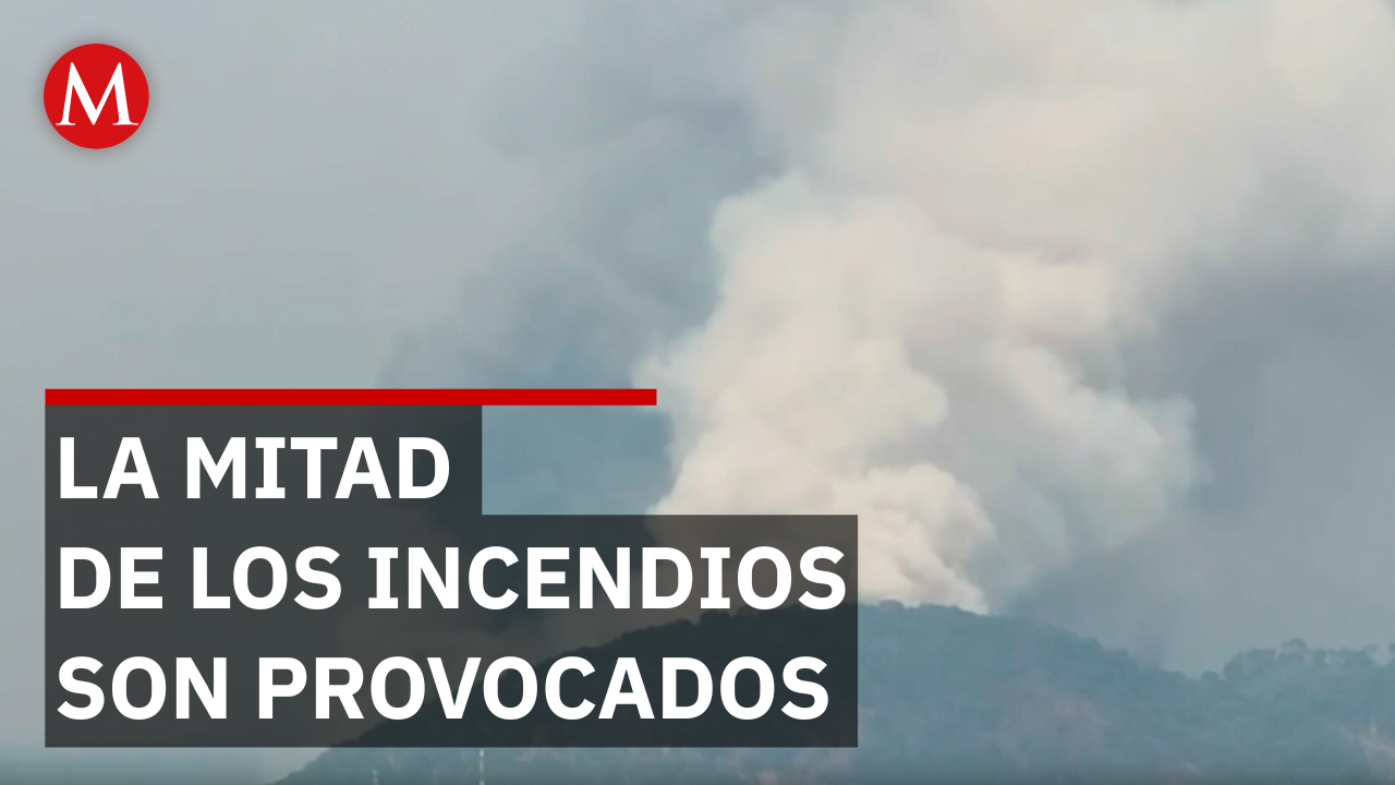 ¿Sabes qué provoca la mitad de los incendios forestales en el Edomex? La impactante realidad detrás de las quemas humanas