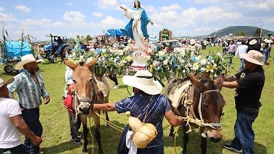 San Francisco Tlalcilalcalpan celebra su tradicional paseo en honor a la Virgen de la Asunción, símbolo de gratitud por la cosecha