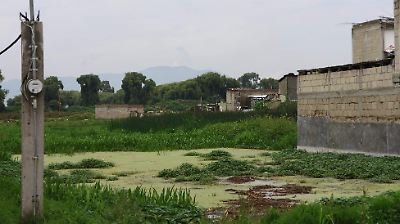 San Lucas Tunco, Metepec, enfrenta una crisis constante por inundaciones y aguas negras