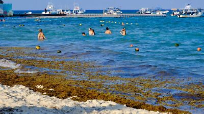 Sargazo en Cancún 2025: mapa de las playas más afectadas