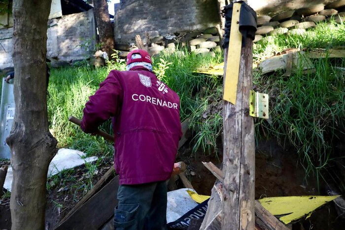 Sedema recupera nueve hectáreas ilegales en Área Natural Protegida de La Magdalena Contreras