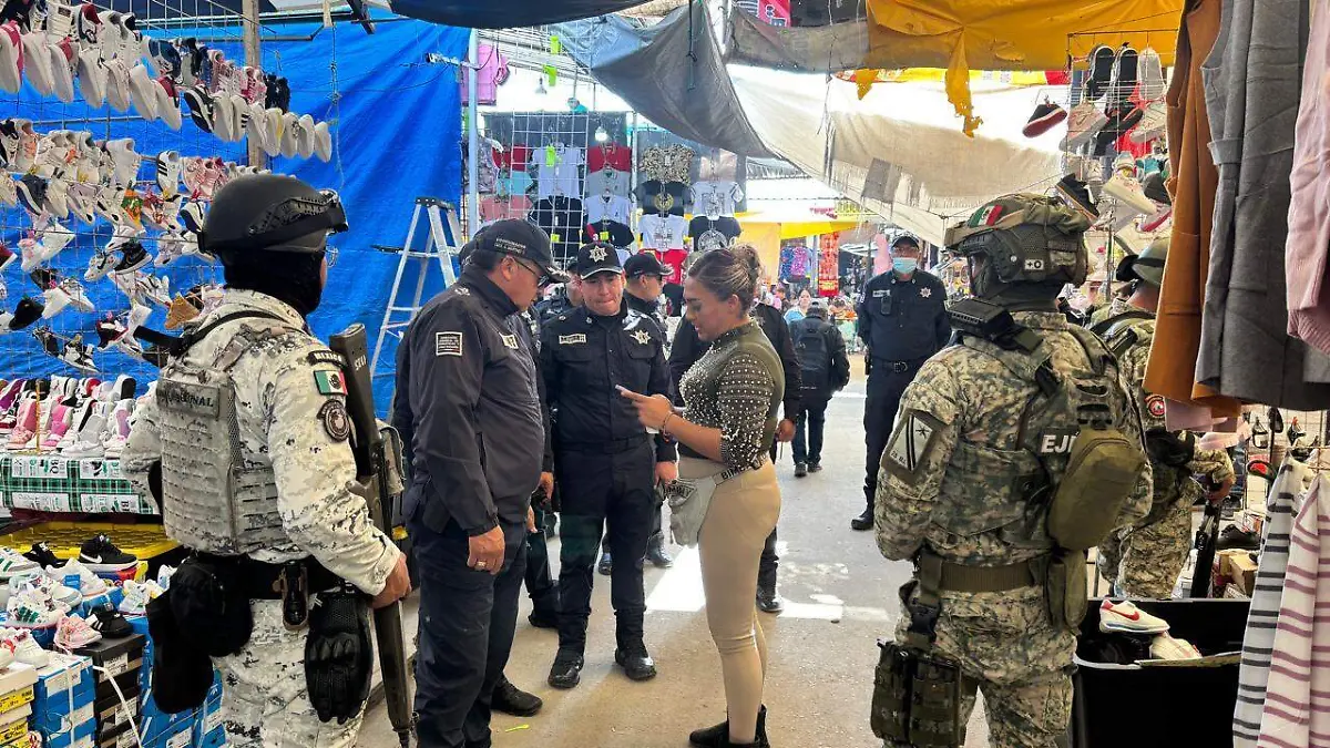 ¡Seguridad reforzada en el Mercado Palmillas Autopan con ayuda del gobierno federal!