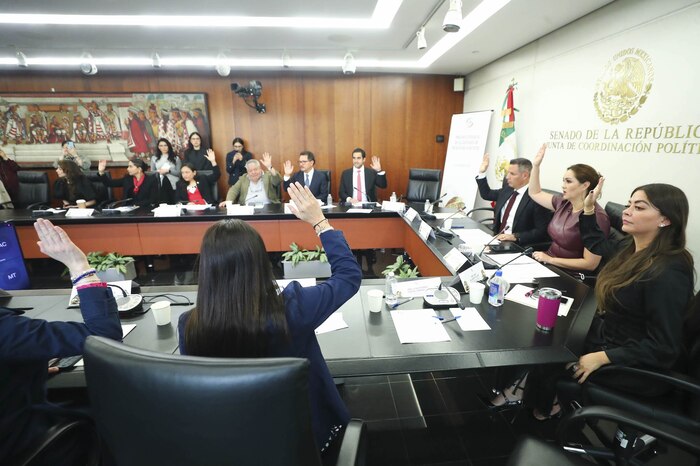 Senado propone incrementar candidaturas para grupos vulnerables en reforma electoral