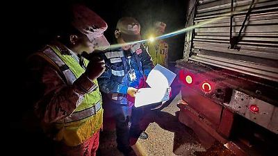 Senasica intercepta cargamento ilegal de 13 bovinos en Chiapas