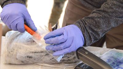 Sentencian a 20 años de prisión en EE. UU. a narcotraficante ligado al Cártel de Sinaloa en Sinaloa