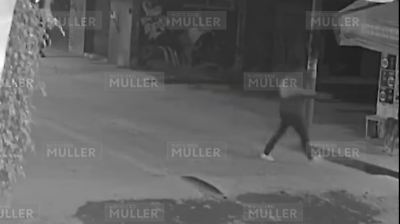 Servidor público de la FGJEM balea y mata a perro en Ecatepec; podría enfrentar hasta 12 años de cárcel