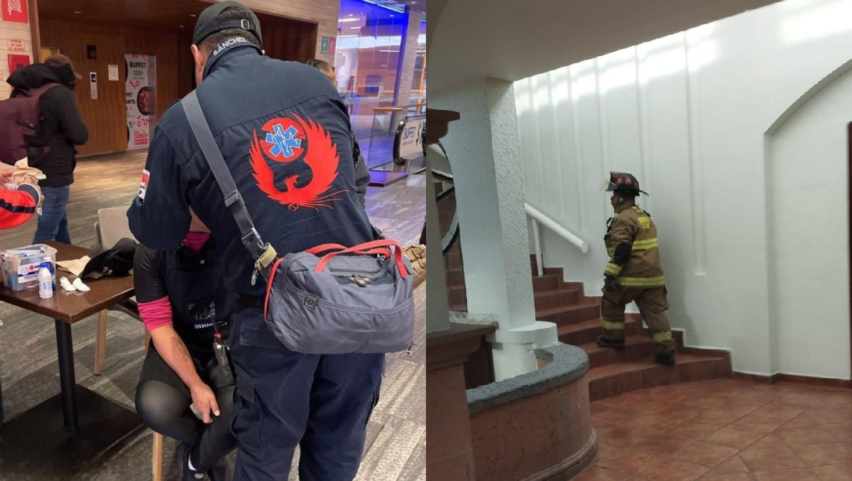 Sismo de 6.5 en Guerrero: Cómo Protección Civil del Edomex responde ante emergencias y alertas