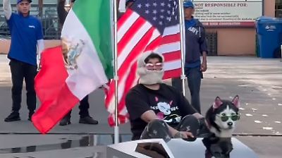 Swaggy, el perro que viaja en mini Cybertruck por EU para promover derechos migrantes y unidad