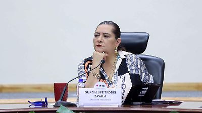 Taddei del INE llama a colaborar en la próxima reforma electoral sin prejuzgar