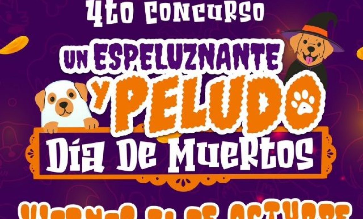 Tecámac organiza el concurso más divertido del Día de Muertos para lomitos: ¡participa con tu mejor amigo peludo!