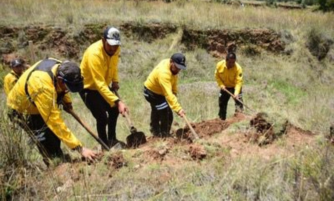 Temoaya impulsa capacitación para la recuperación de bosques degradados con acciones comunitarias
