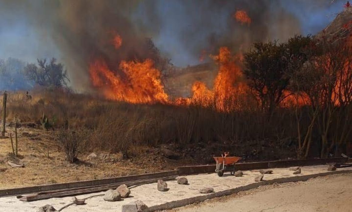 Tlalnepantla controla incendio de pastizal en colonia Lázaro Cárdenas