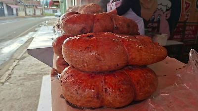 Todo está listo para la 22ª Feria del Obispo en Tenancingo, orgullo gastronómico del Edomex