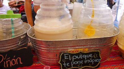 Todo lo que debes saber del Pulquefest 2025 en CDMX: música, sabores y tradición