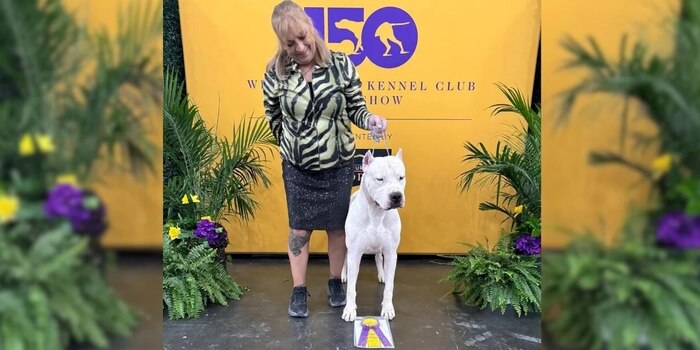 Toky Del Totoral, Dogo Argentino, gana el prestigioso Westminster Kennel Club Dog Show de Estados Unidos