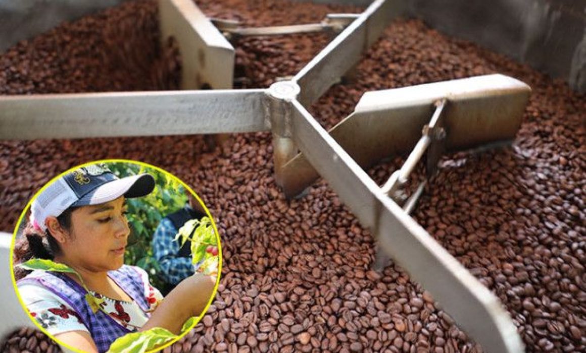 Toluca acoge el Segundo Festival del Café para fortalecer cultura, economía y tradición