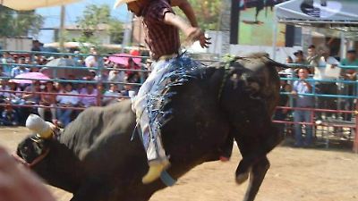 Toluca busca prohibir jaripeos y espectáculos que maltraten a los animales