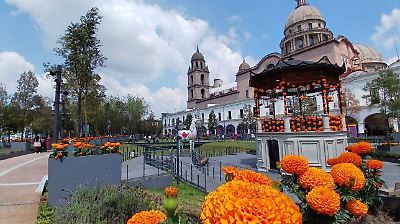 Toluca embellece sus espacios públicos con más de mil 300 macetas de cempasúchil durante la feria de Día de Muertos