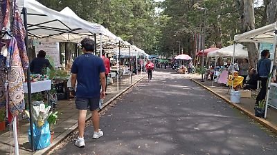 Toluca impulsa el consumo consciente en el Mercadito Verde del Parque Metropolitano Bicentenario
