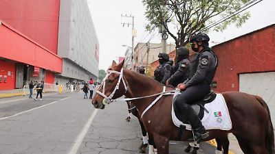 Toluca investiga la misteriosa muerte de ocho caballos de la Policía Montada y busca sanciones administrativas