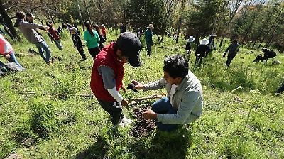 Toluca realiza reforestación en Santiago Tlaxomulco para recuperar zonas afectadas por incendios