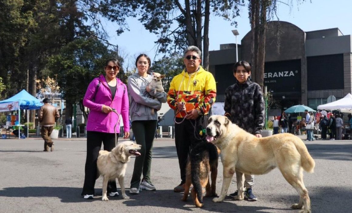 Toluca refuerza el bienestar animal con nueva sede del Centro de Control y Bienestar Animal en Sauces